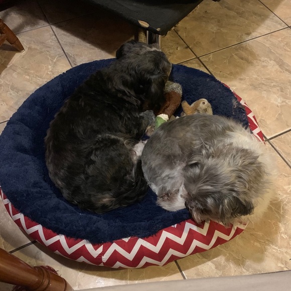 Meet your Top Rated Posh Seller Katikapreโ - Picture 8 of 13